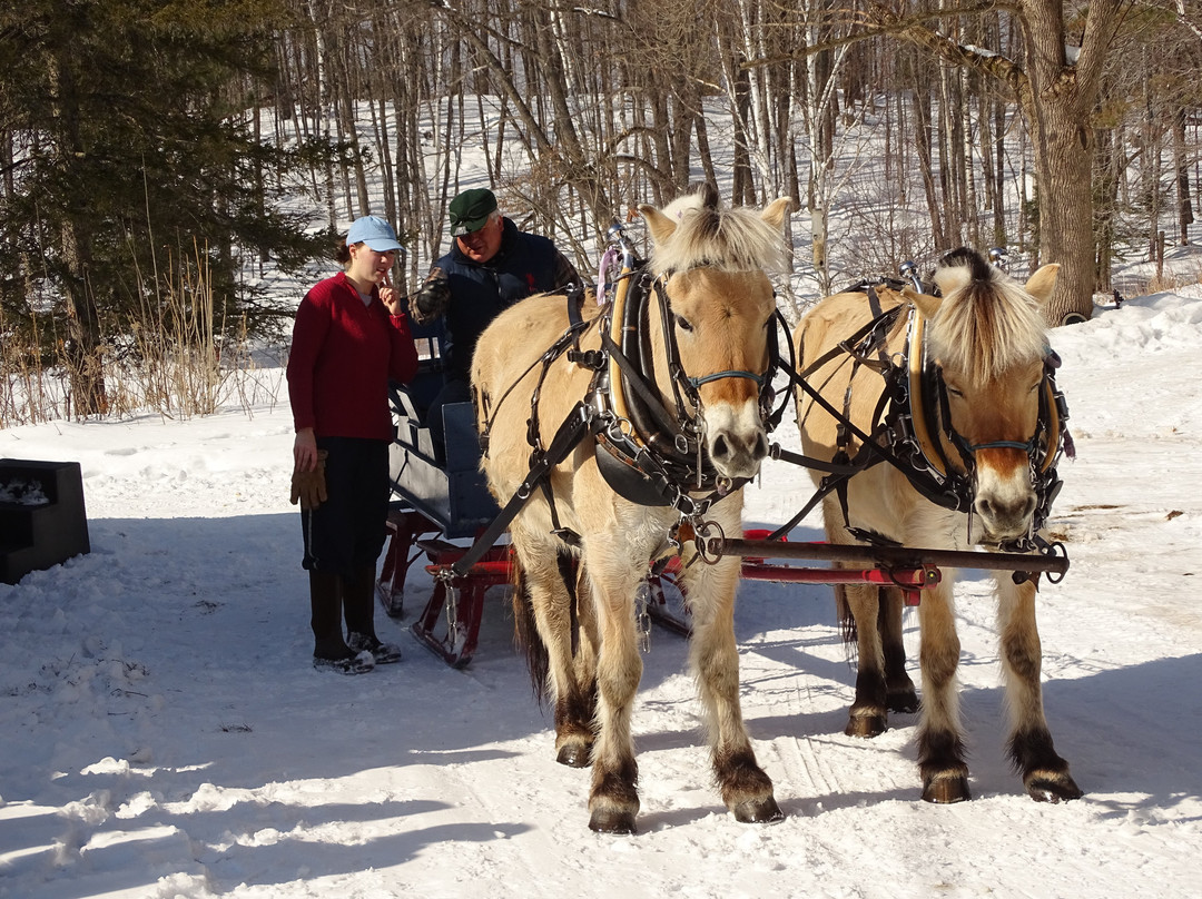 Sleighman-Ishpeming必去景点