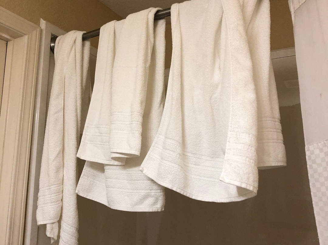 Days Inn & Suites by Wyndham Florence/Jackson Area主图