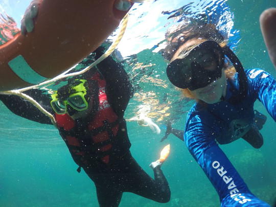 Frankland Islands Reef Cruises-凯恩斯必去景点