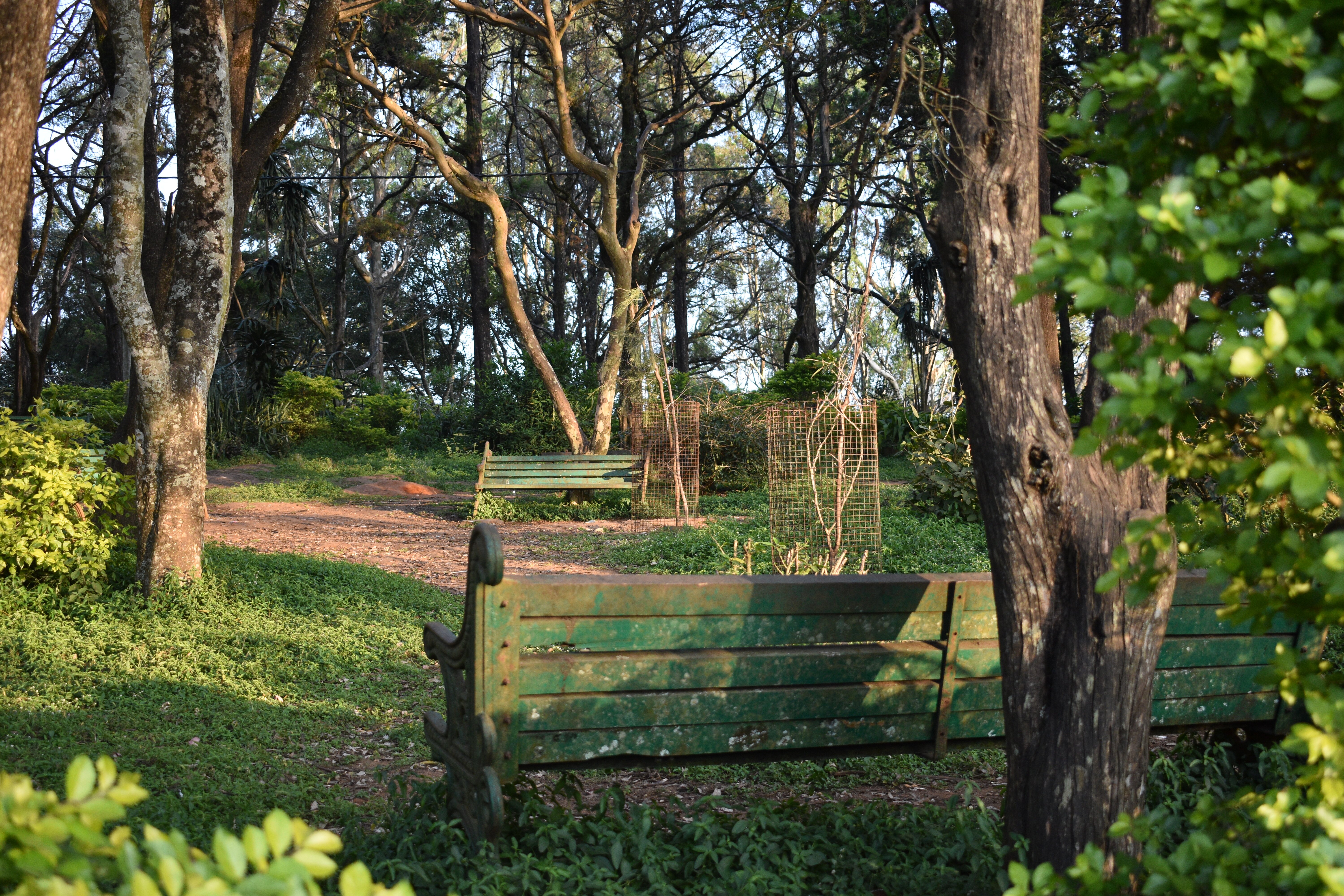 KSTDC Hotel Mayura Pine Top Nandi Hills-家庭/游戏区