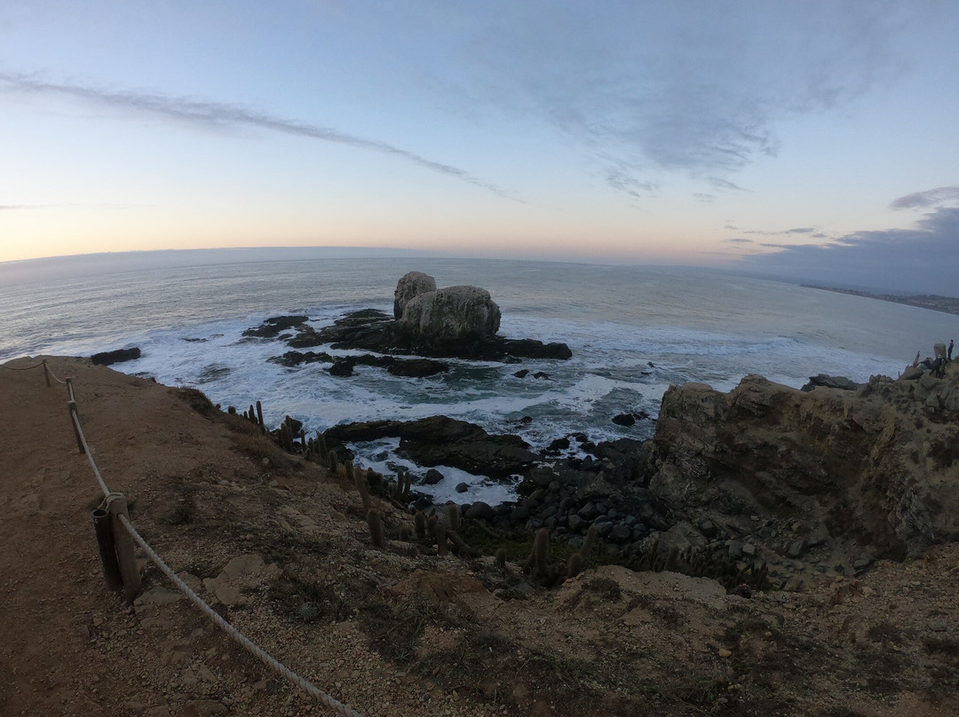 Playa Punta de Lobos-皮钦勒姆必去景点