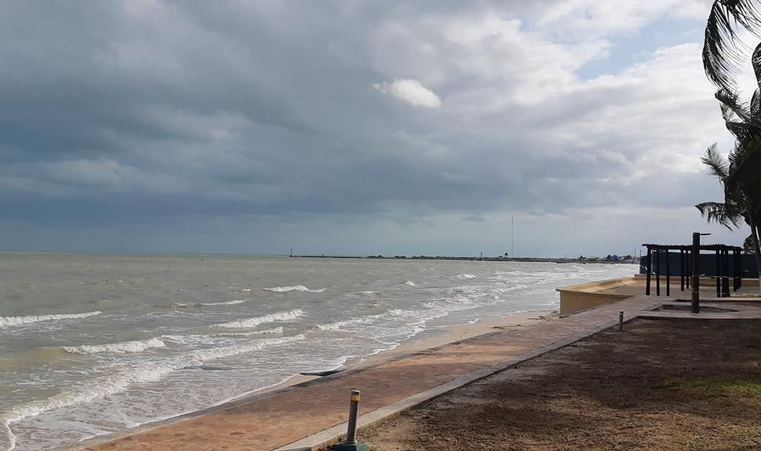 Hotel Reef Yucatán - All Inclusive & Convention Center主图