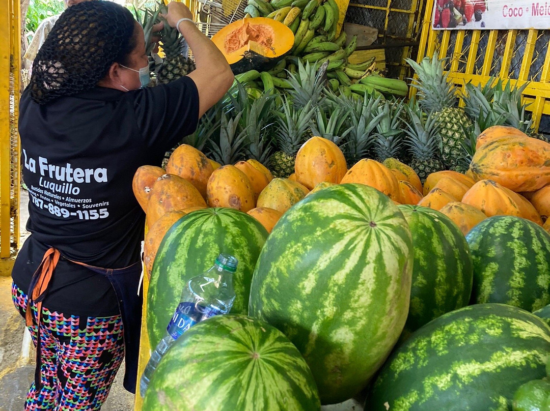 Spotin tours-Guaynabo必去景点