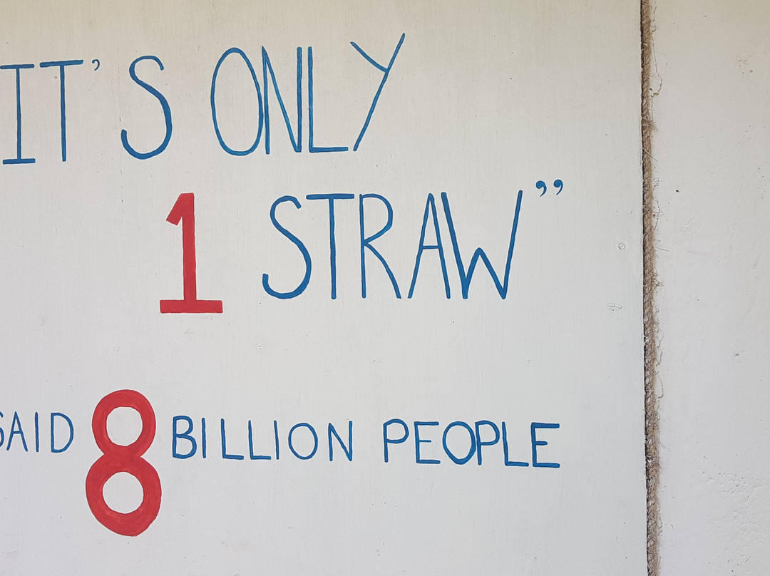 Local Ocean Conservation-瓦塔木必去景点