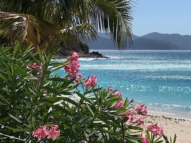 Ivan's Stress Free Guest House & Campground主图