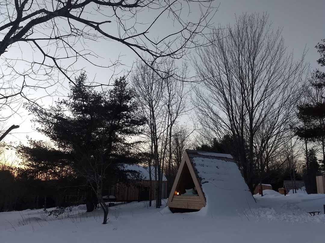 Eastwind Hotel & Bar主图