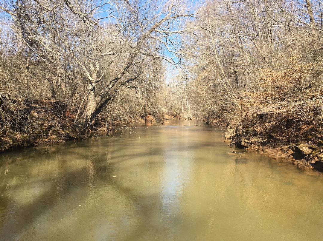 Mulberry Riverwalk景点图片