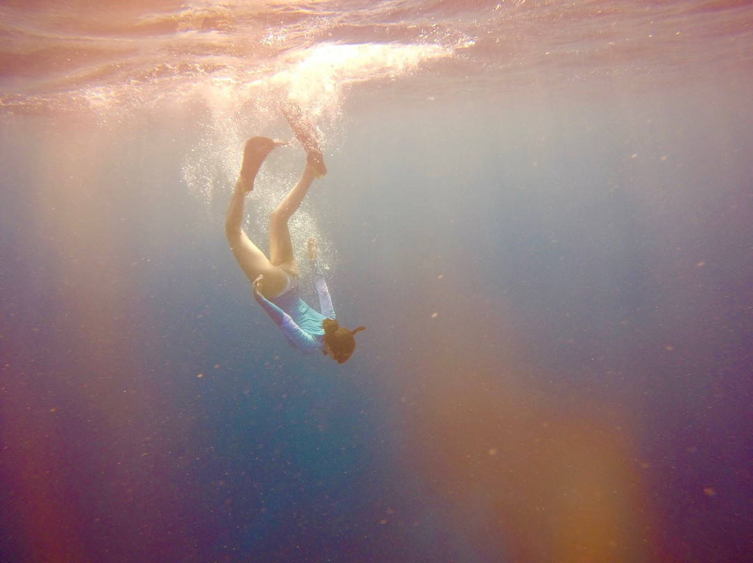 Koamas Dive & Water Sports Centre-Madivaru必去景点