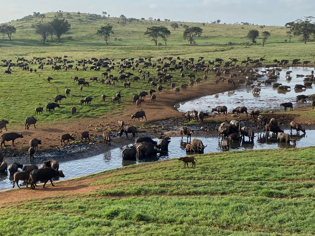 Aisanguyan Safaris景点图片