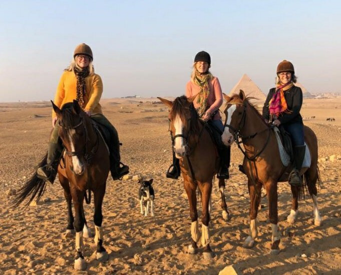 Happy Horse Holidays-开罗必去景点