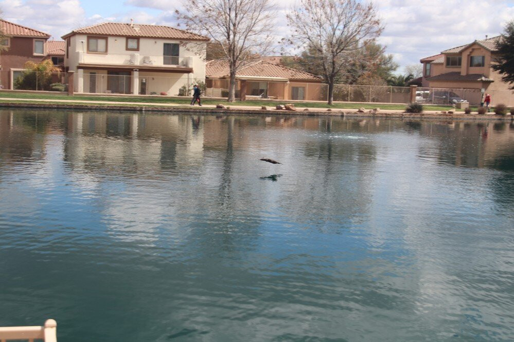 Sahuarita Lake-Sahuarita必去景点
