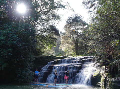 Social Nature Movement (SNM)-奥克兰中心地区必去景点