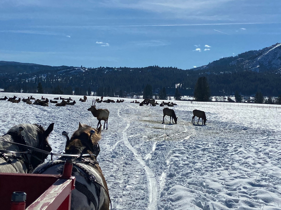 Idaho Sleigh Rides景点图片