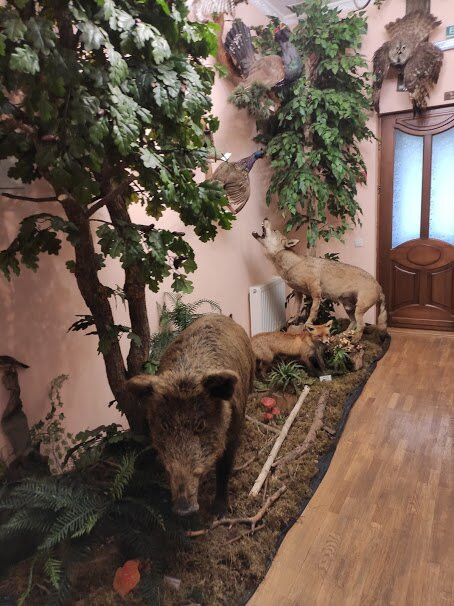 Forest Museum-Kostopil必去景点