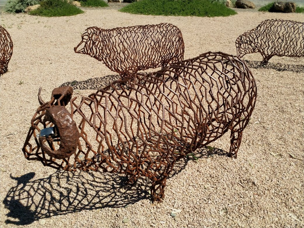 Mob Of Sheep Art Installation景点图片