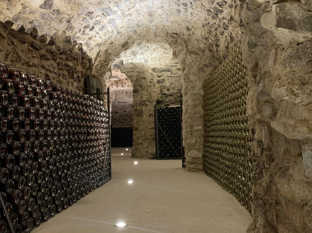 Champagne Servenay & Fils景点图片