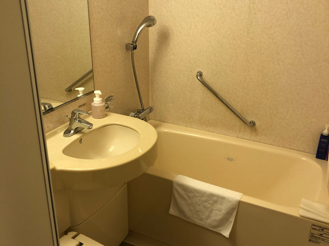 里士满滨松酒店主图