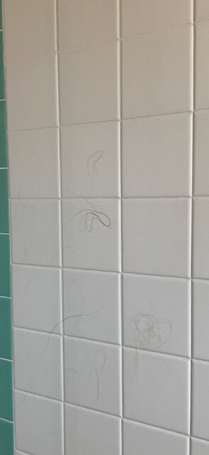 银岭小屋酒店主图