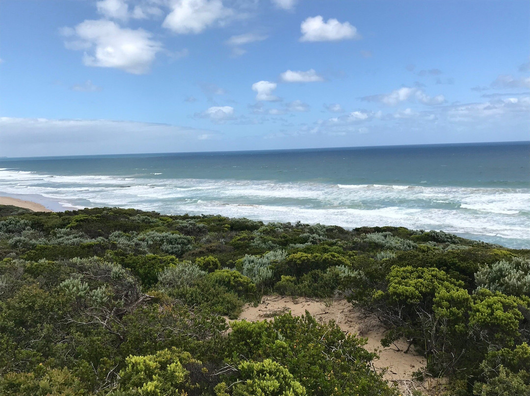 Portsea Back Beach景点图片