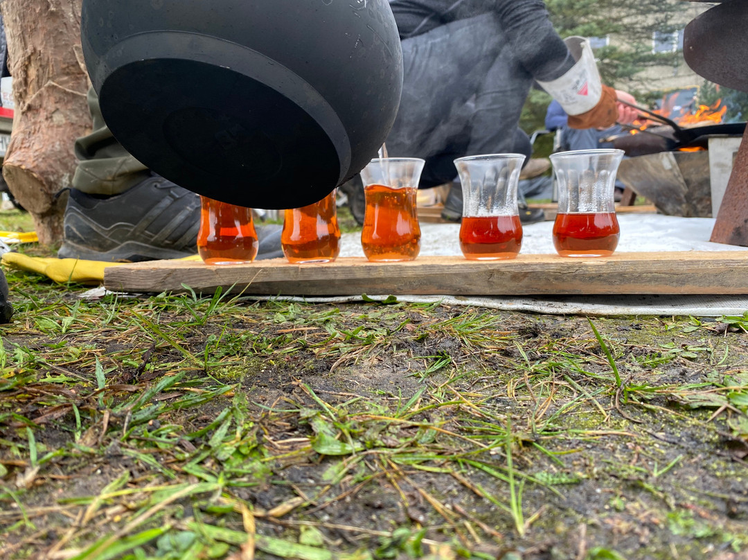 Camping Quaduxenbarg