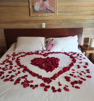 VELINN Hotel Fazenda Fonte das Hortênsias主图