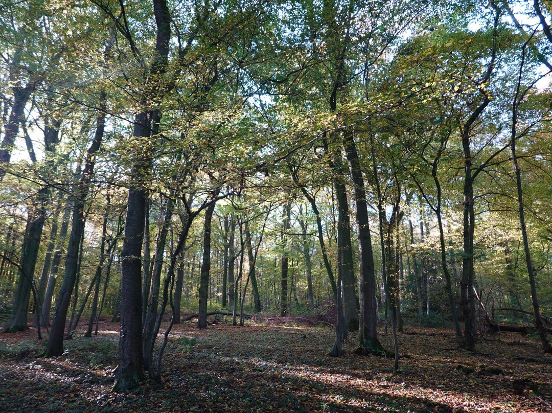 Natuurwandeling-埃彭必去景点