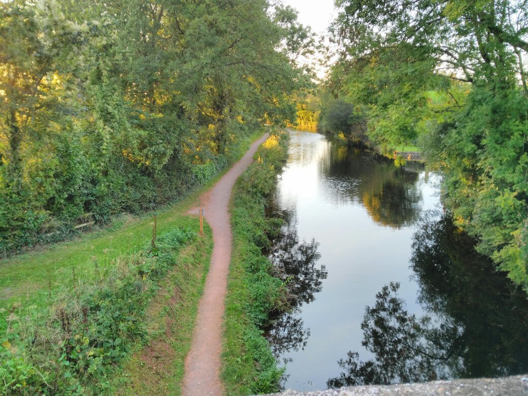 Grand Western Canal-蒂弗顿必去景点