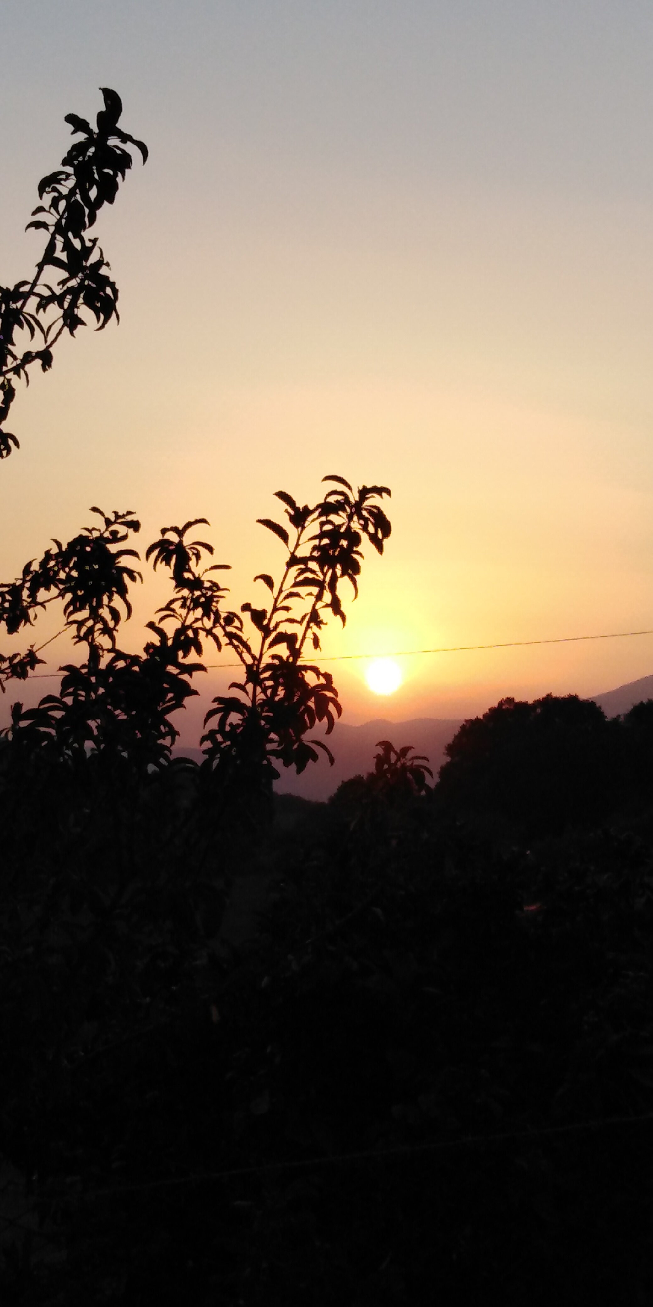 B&B Il Rustico-官方