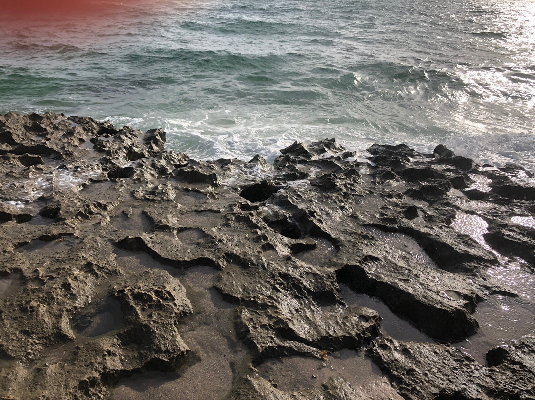 Ocean Reef Park-Riviera Beach必去景点