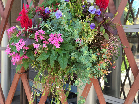 Greenpia Kasugai-春日井市必去景点