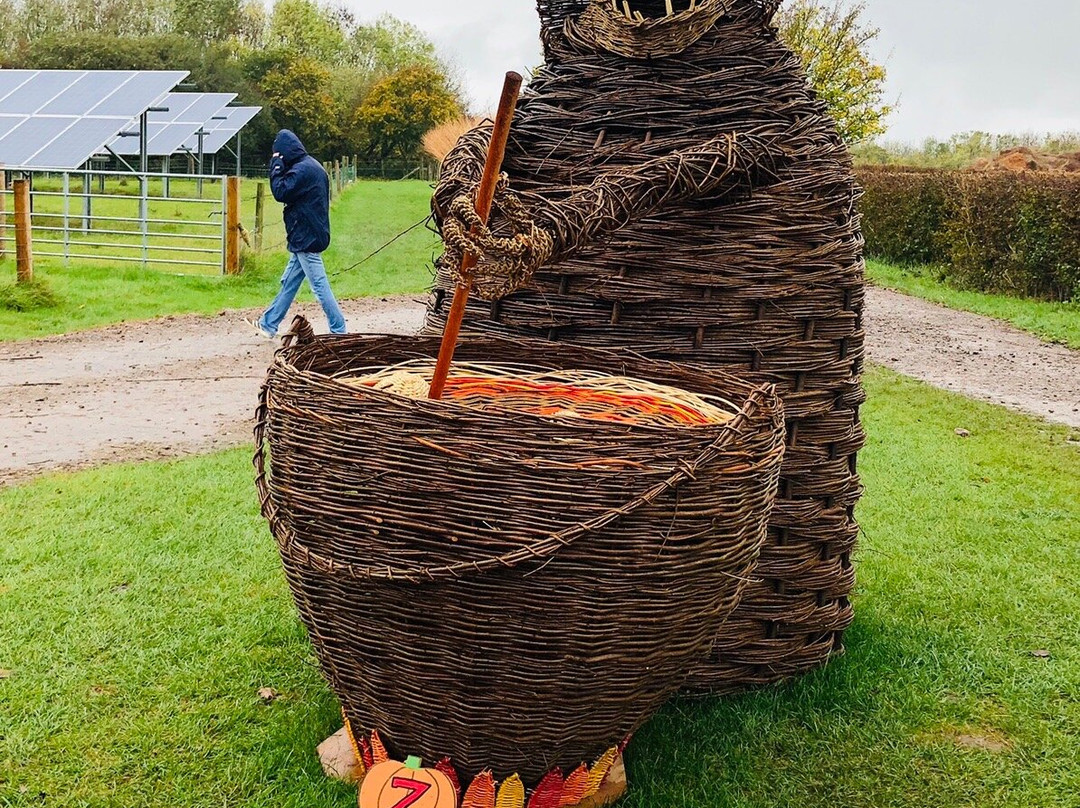 Coates English Willow Visitor Centre景点图片