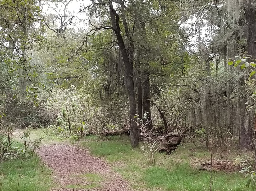 Lake Somerville State Park - Nails Creek Unit-Ledbetter必去景点