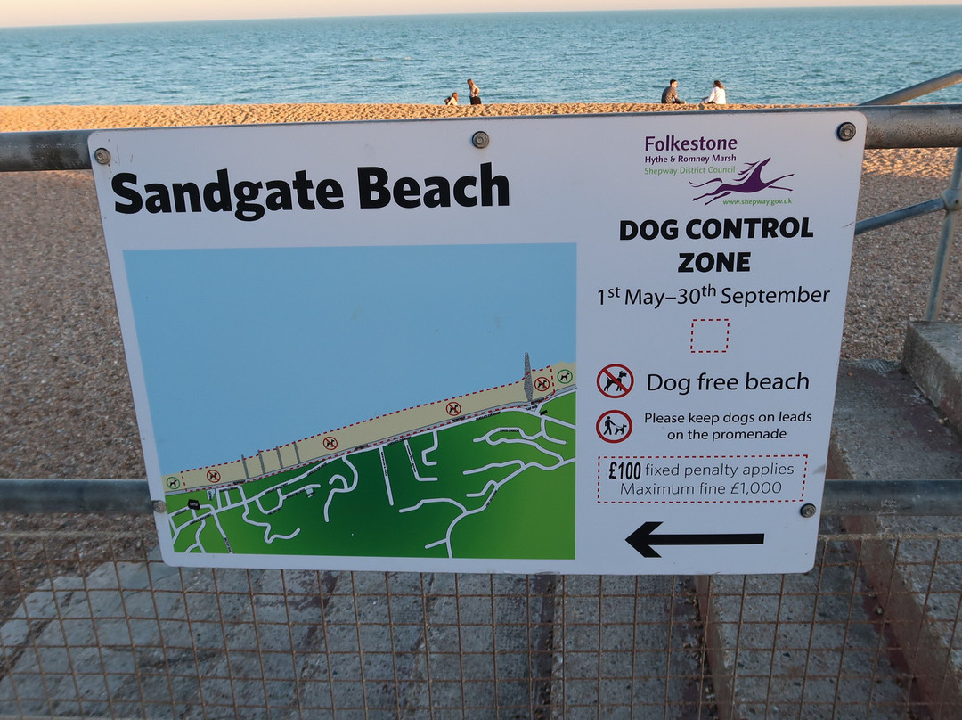Sandgate Beach-Sandgate必去景点