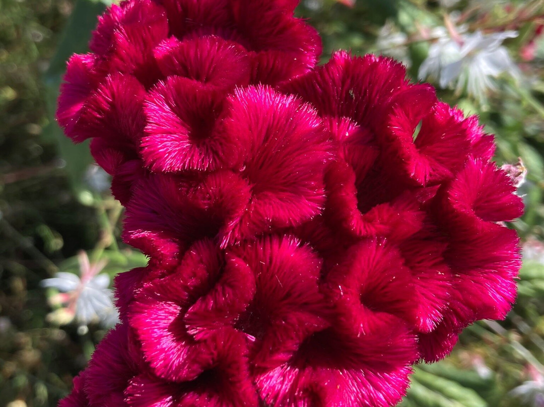 Ionion Beach Hotel & Apartments主图