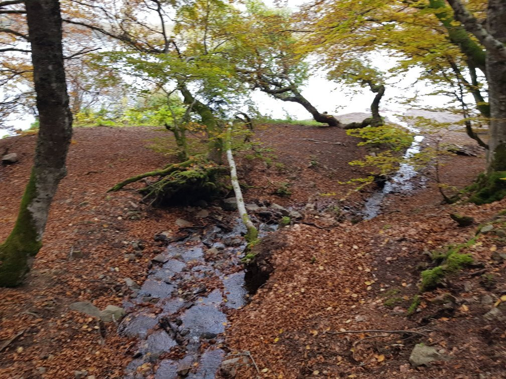 Lac de Guéry景点图片