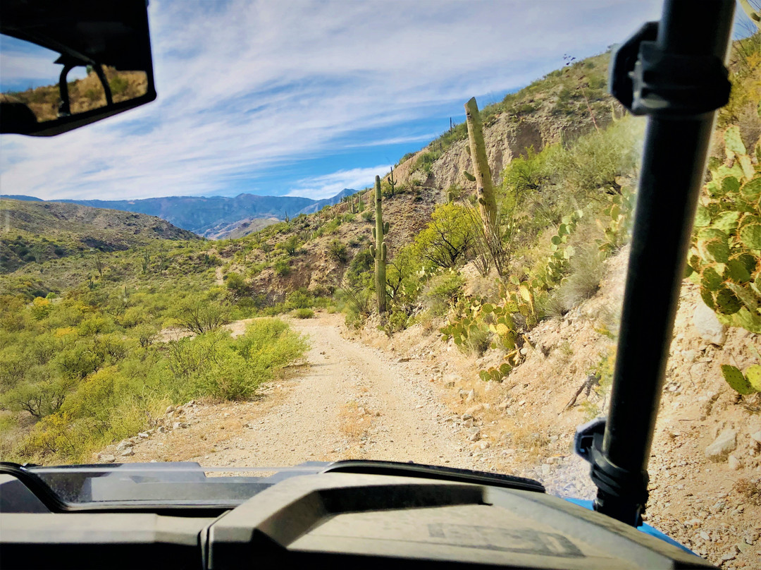 Tucson Adventure Rentals - Oracle景点图片