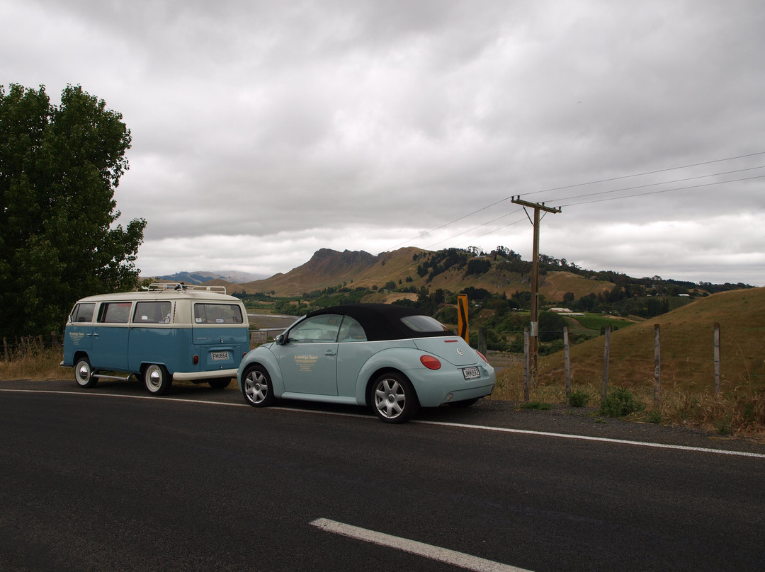 Avantogo Tours-纳皮尔必去景点