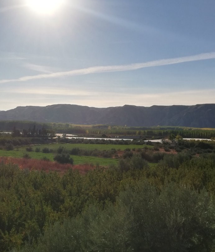 Bodegas Pago de Almaraes-Benalua de Guadix必去景点