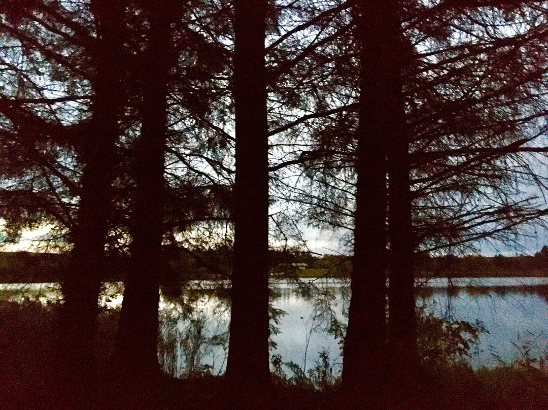 Loch Of Forfar-Forfar必去景点