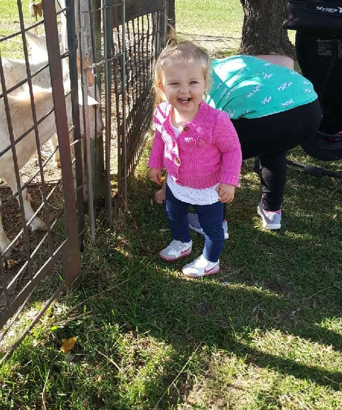 Lapacek’s Orchard-Poynette必去景点