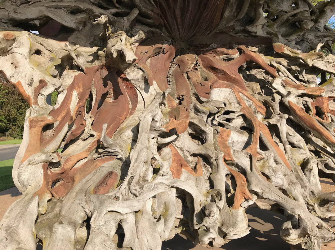 The Phoenix Tree-Myrtleford必去景点