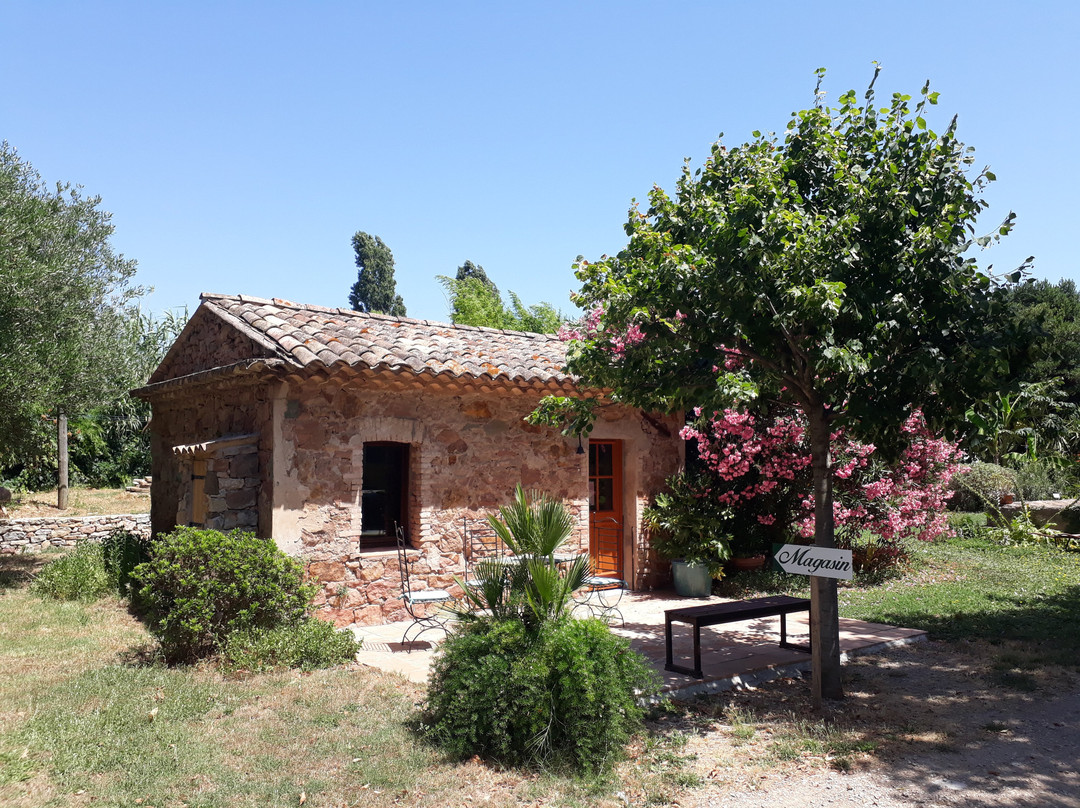 Domaine de L’Olivette-阿尔冈河畔罗屈埃布吕纳必去景点