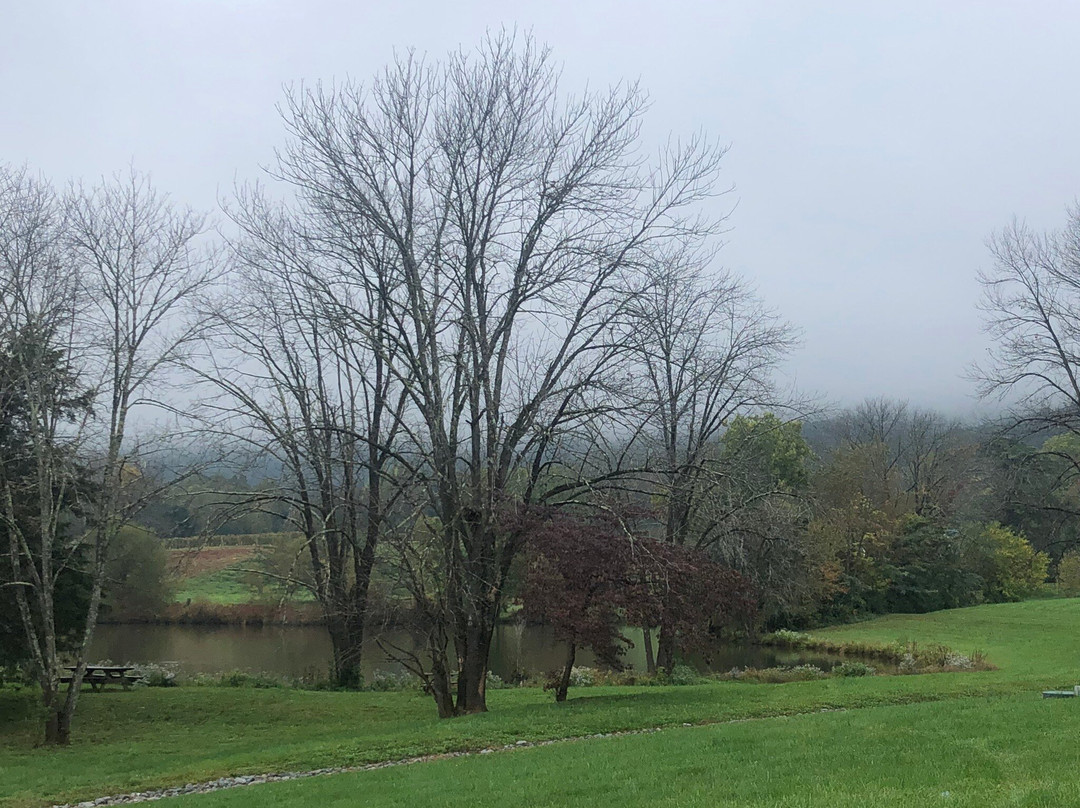 Pollak Vineyards-Greenwood必去景点