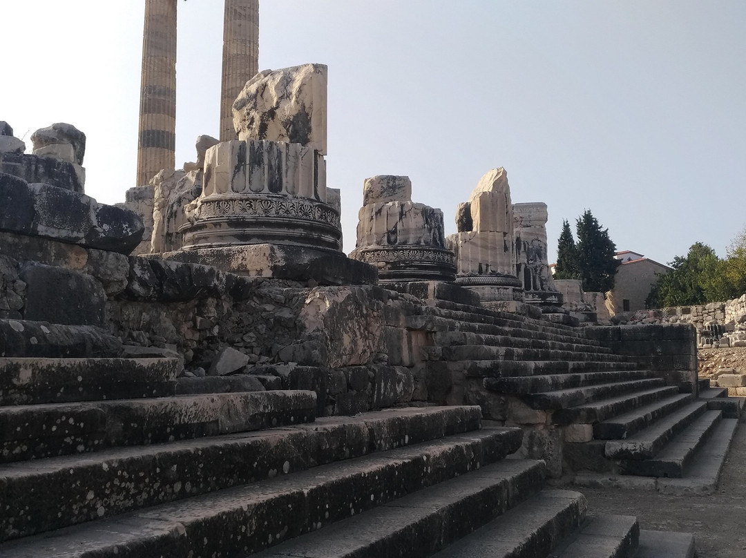 Temple of Apollo景点图片
