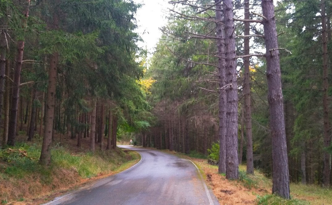 Finca Ribavellosa-Ribabellosa必去景点