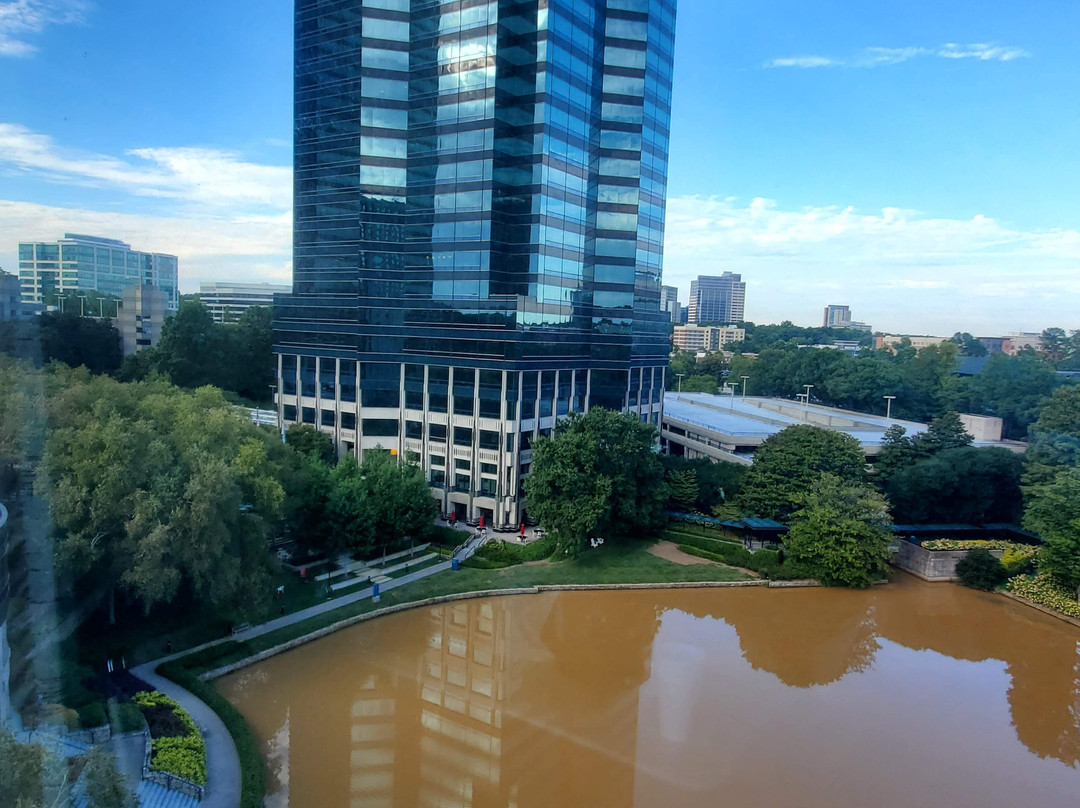 The Westin Atlanta Perimeter North主图