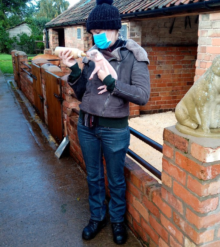 Stonehurst Family Farm and Museum景点图片