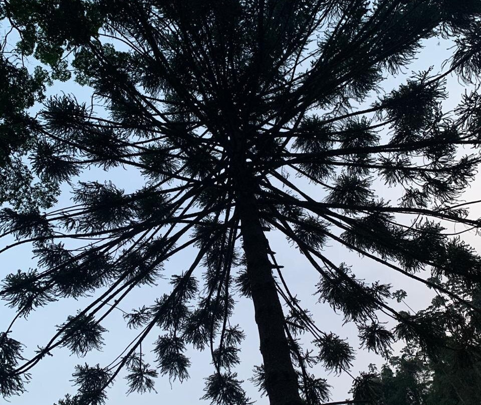 Pousada Chácara Arace主图