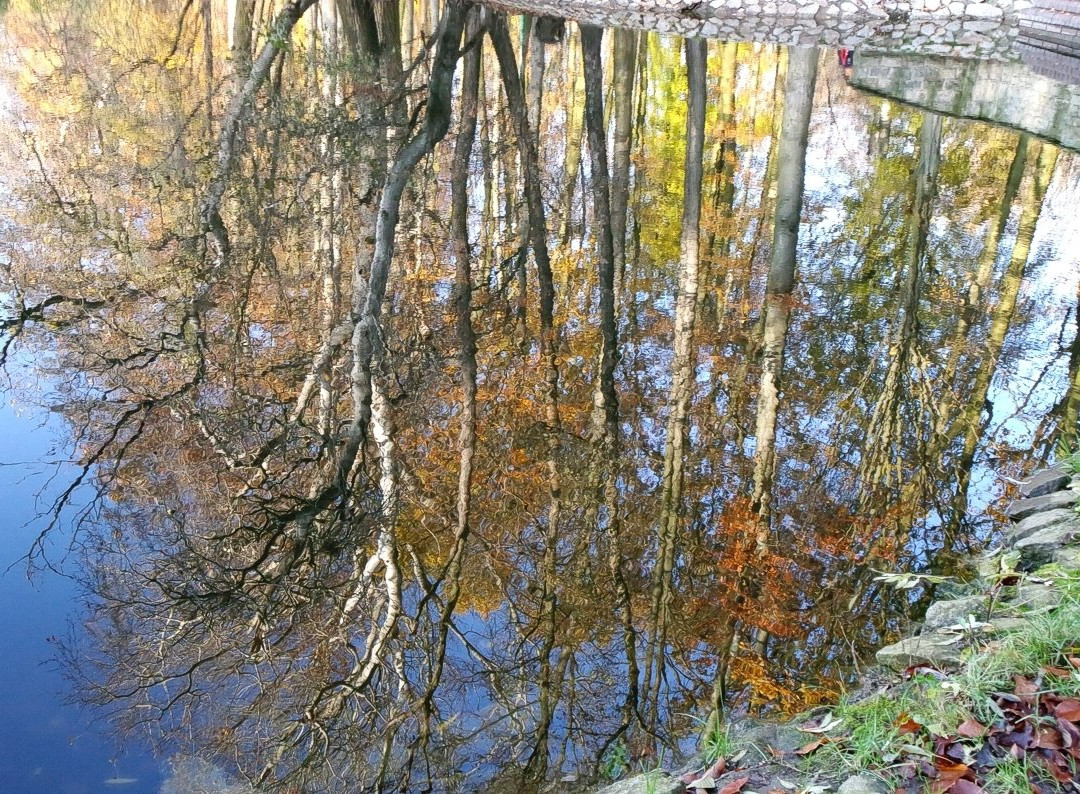 Jezioro Rusałka景点图片