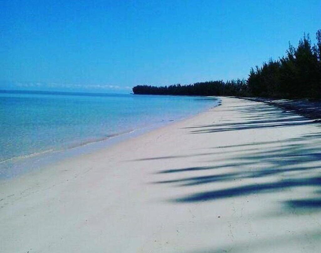 Eva's Bonefishlodge主图